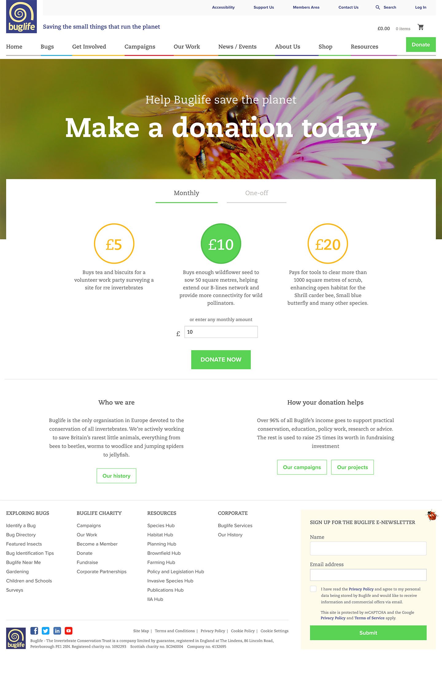 Buglife Donate page Screenshot
